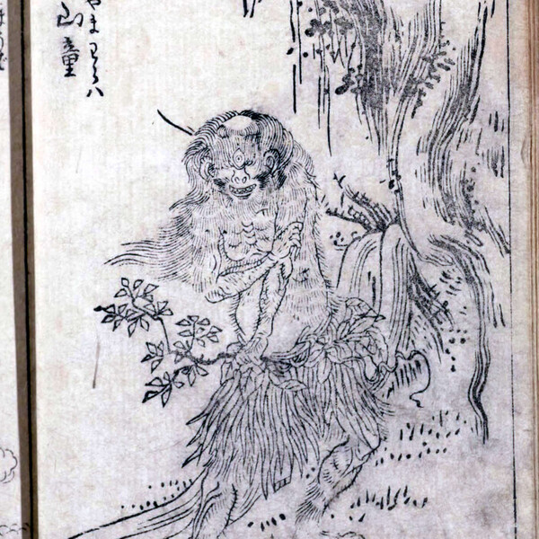 百鬼図 百鬼図: 三代目彫よし | 中野 義仁 |本 | 通販 | Amazon