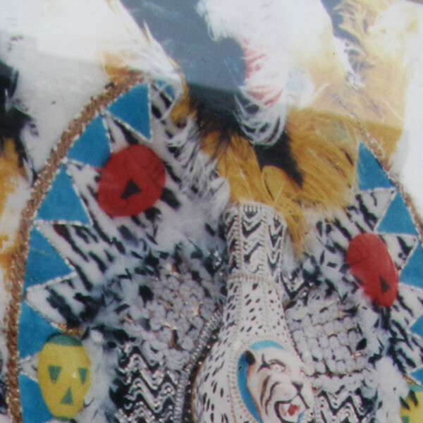 Cover art for Pro Habitat by Ahnnu