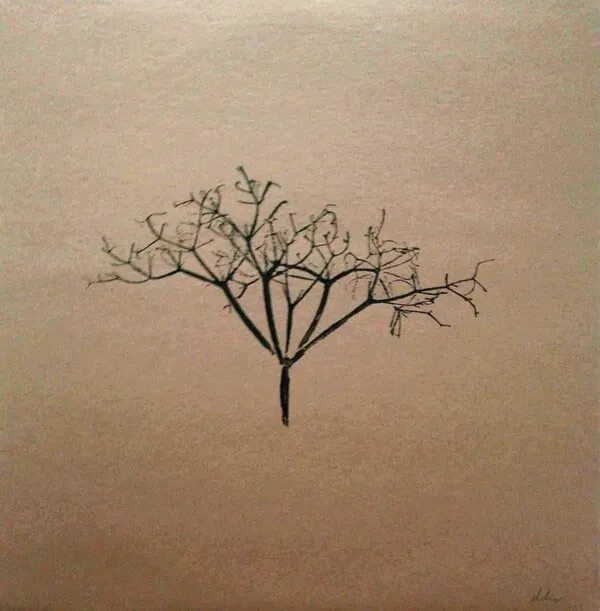 Cover art for The Folklore of Plants: Volume One by Various Artists