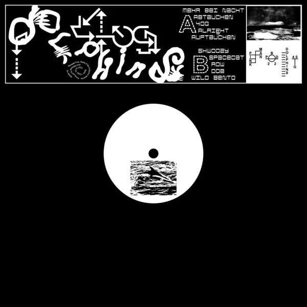 Cover art for 40G by Dolphins