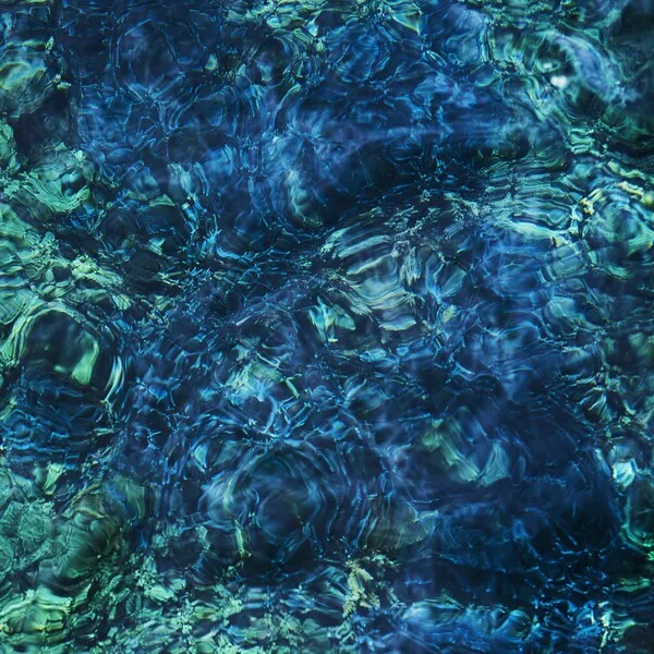 %E9%9D%92%E8%91%89%E5%B8%82%E5%AD%90-luminescent-creatures-Cover-Art.jpg