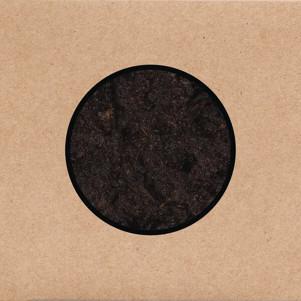 Cover art for Birthing by Swans