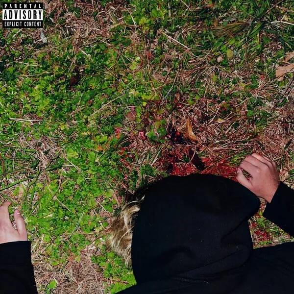 Cover art for I Know Something You Don't by funeral