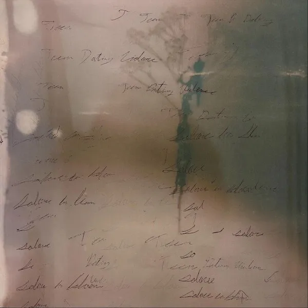 Cover Art For Split By Teen Dating Violence / Solace In Bloom