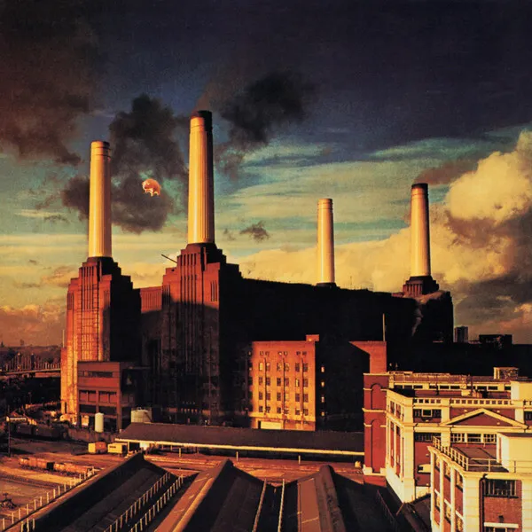 Animals album cover