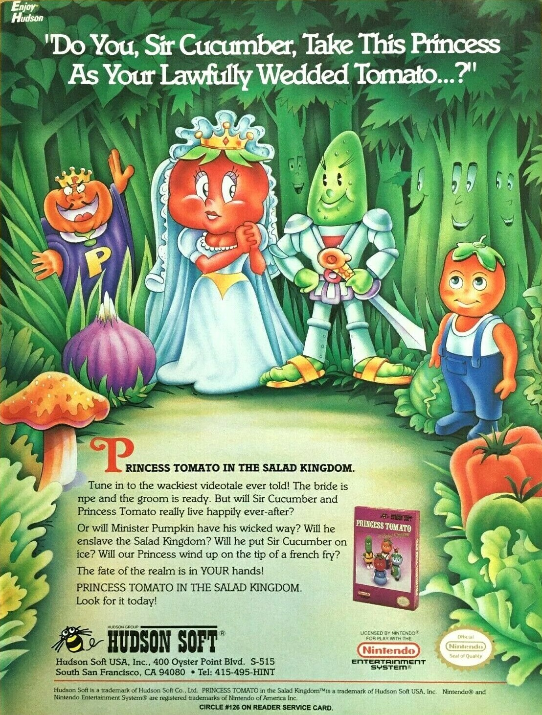 Princess Tomato in the Salad Kingdom for outlets Nintendo NES