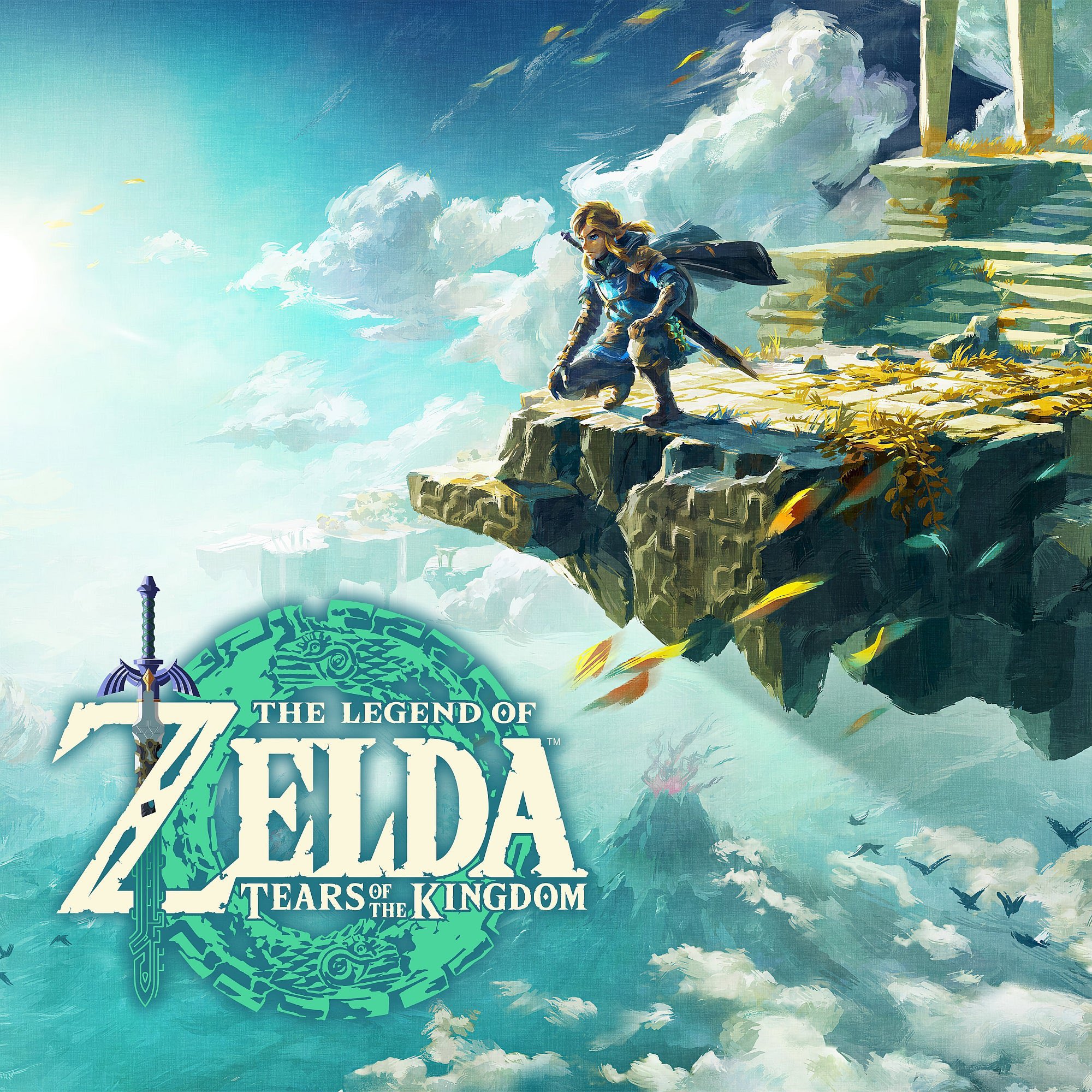 ゼルダの伝説 TEARS OF THE KINGDOM The Legend of Zelda: Tears of the Kingdom (video game, open