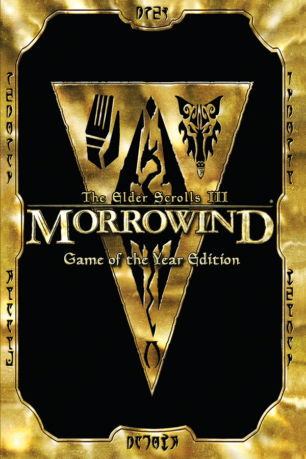 THE ELDER SCROLLS 3 - Morrowind PC - Neuf Blister EUR 300,00 - FR