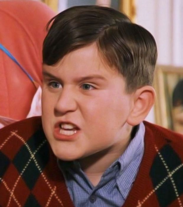 Dudley Dursley (character) Glitchwave video games database